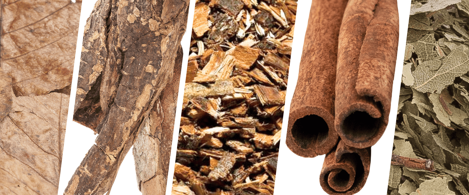 Naturheilmittel für Wirbellose